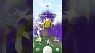 Crypto Groudon Raid Wochenende #shadowgroudon