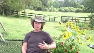 Protecting Your Land Episode 2: Landowner Testimonials