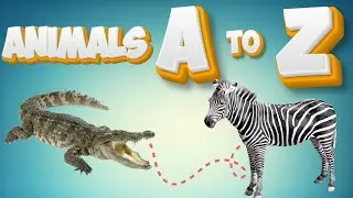Animals ABC learn the alphabet | ABC Animal Song for Kids | Learn animal | Educational Animal videos
