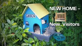 Bird Feeder House in Our Garden | 4K Camera Episode 2 &ndash; NIGHT VISITOR!