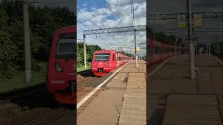 Приветливый ЭД4МКМ-0005  едет в Москву #ржд #эд4м #transport  #train #railway #shorts