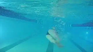 Butterfly Fish Kick Right No Equipment Slight Key Items