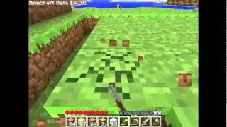 Minecraft Test DieGamingZone
