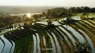 Pura Group &ndash; Profil Perusahaan 2025