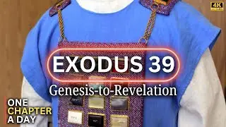 EXODUS 39 🎬 Priestly Garments | BIBLE IN A YEAR