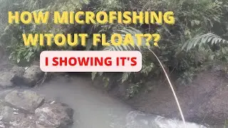 How to catch small fish without float???