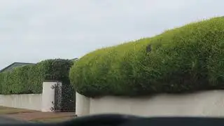 Insane Holiday Island of Guernsey where everyone reside affordable luxurious houses
