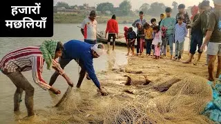 आख़िर जाल में क्या फँसा?”“इतनी मछलियाँ कभी नहीं देखी होंगी!”“सब लोग देखने क्यों आ गए?”#vlog #fishing