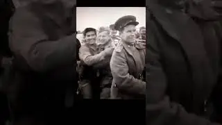 Встреча на Эльбе. О дружбе Александра Сильвашко и Уильяма Робинсона