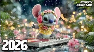 Extreme Bass Boosted | EDM Playlist 2026 | High Energy Party Music Mix