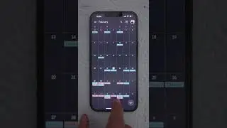 Try a MINIMALIST IPHONE
