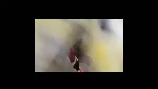حروفيات calligraphy ألوان اكريليك Acrylic على كانفس Canvas