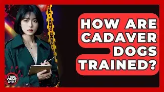 How Are Cadaver Dogs Trained? - True Crime Lovers