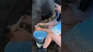 Charming Milking Maiden: A Dairy Delight