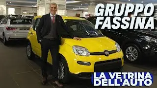 GRUPPO FASSINA 18-11-24 - AUTO USATE E KM0 - LA VETRINA DELL'AUTO