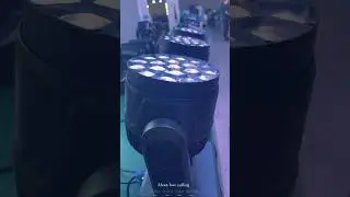 19pcs 40w mini bee Eye light #stagelighting #factory #bee