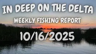 Еженедельный отчет о рыбалке в дельте реки Инн за 16 октября 2025 г.