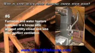 Black Mold in Attic - Why is it Attic Mold Growing Under Your Roof?