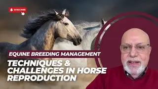 Equine Breeding Management | Techniques & Challenges in Horse Reproduction