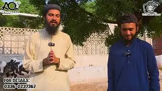 itna Bara Haadsa or ALLAH Pak ka Mojza? AQ Cattle Farm