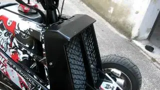 marinho banshee trinity stage IV