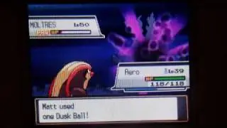 22 - Moltres Doritos Challenge SUCCESS (Надо поймать всех 15)