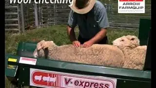 V Express