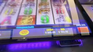 Big slap on the buffalo! #vegas #casino #slot #gamble 