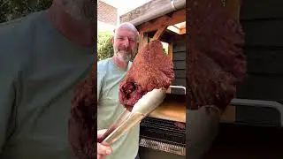 Birria Tacos