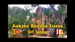 Aukana Buddha Statue - Sri Lanka 🇱🇰