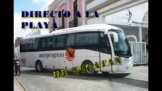 POR FIN LLEGUE A LA PLAYA DE PROGRESO