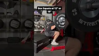 Stray Dog Foam Plyo Boxes