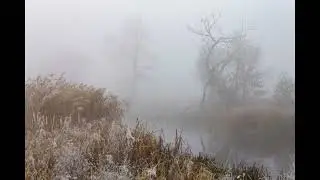 experimental &times; ambient &times; organic type beat 