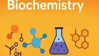 Biochemistry l Lecture 13 l Protein Chemistry Protein denaturation