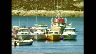 Paamiut nalliuttorsiutigineqarnerat (1:2) 1992