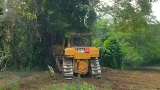 Top Techniques of Cat d6r XL Bulldozer Operators for Plantation Clearing