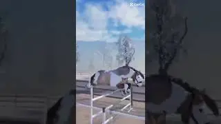 jeez #horse #equestrianjourney #sterstallion #strideway #horsegirl #roblox #horseridingtraining
