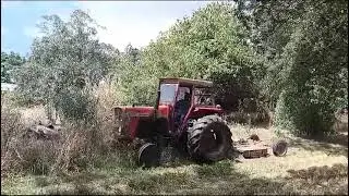 Tractor Massey Ferguson 265