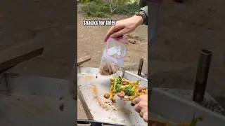 Dinner by the Fire &rarr; Snacks for the Road | Campfire Cooking 🔥