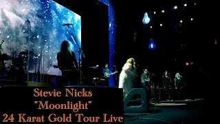 Stevie Nicks: Moonlight: 24 Karat Gold Tour - Front Row POV