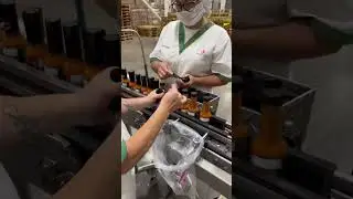 How Hot Sauce is Made 🌶️ #hotsauce #ghostpepper #elijahsxtreme #behindthescenes #shorts