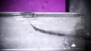 BFR with HyFlex EDM files from a plastic canal