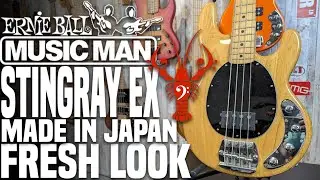 Ernie Ball Music Man Stingray EX - USA Stingray... That's made in Japan? - LowEndLobster Fresh Look