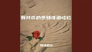 我对你的热情像撒哈拉
