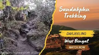 How to climb highest point of West Bengal #sandakphu, Darjeeling