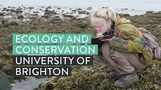Ecology and Conservation at Brighton | University of Brighton