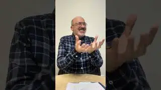 التكوين الخارجي للدماغ