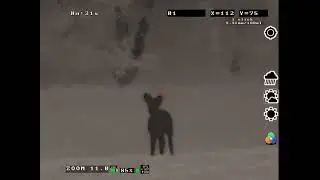 VIDEO007