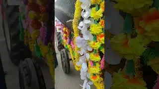 MATTAMPALLY LO SANKRANTI PANDAGA