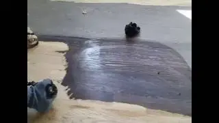 Professional Europien Hand Scraped Hardwood Floor